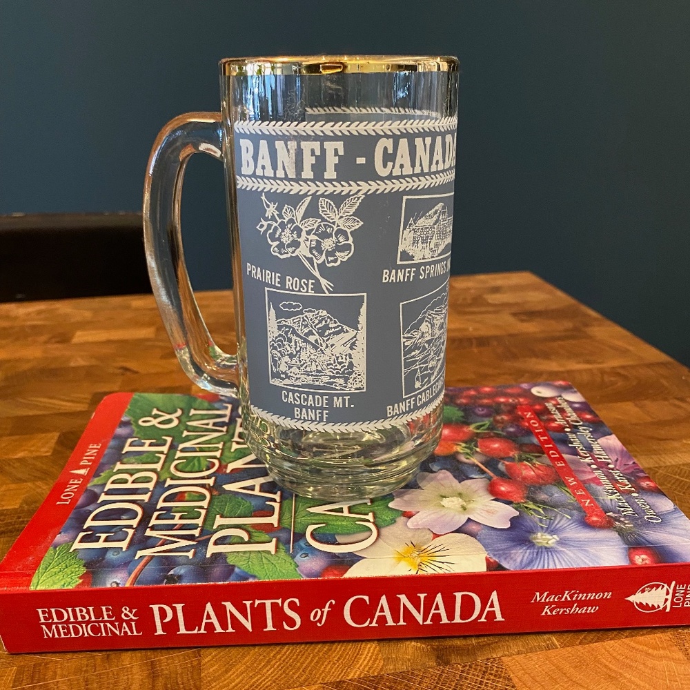 Vintage Banff & Lake Louise Souvenir Mug